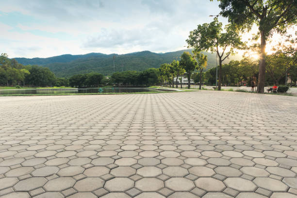 Best Custom Driveway Pavers  in Ripley, MS