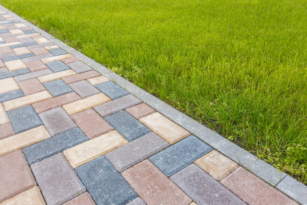 Professional Driveway Pavers in Ripley, MS